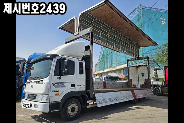 �����̹���