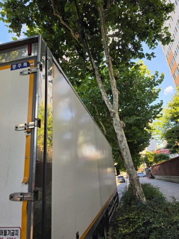 �����̹���