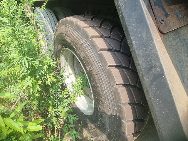 �����̹���